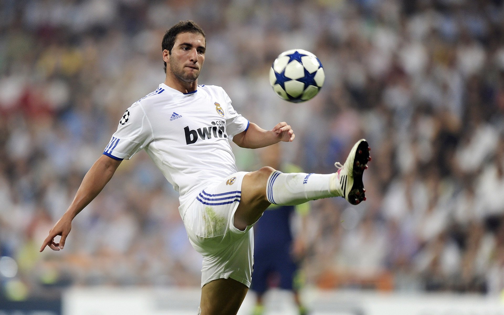 鹰之翱翔：挪威队挑战德国，战术博弈，挪威的老鹰之路